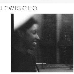 Designer brand name Silk dress Lewis Cho